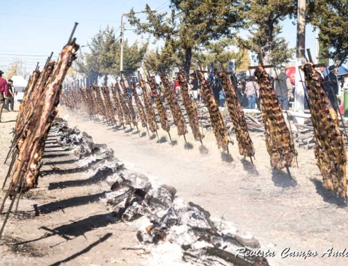 Los ganaderos del árido preparan su fiesta en el Sur de Mendoza