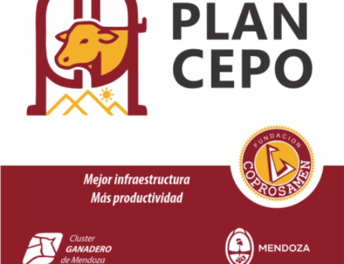 PLAN CEPO 2026