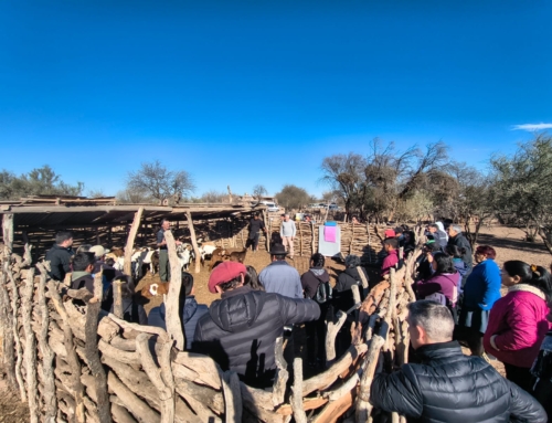 Capacitación para productores caprinos en Lavalle: sanidad, manejo a corral y salud de la familia rural, los principales temas