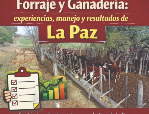 Forraje y Ganadería